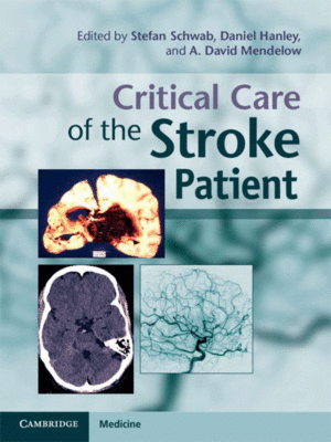 Critical Care of the Stroke Patient