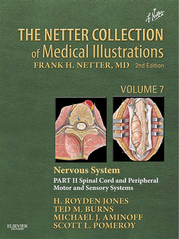 The Netter Collection of Medical Illustrations: Nervous System (Part II - Spinal Cord and Peripheral Motor and Sensory Systems)