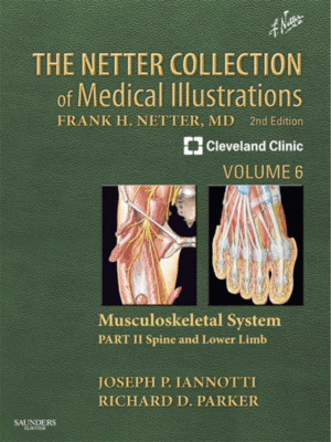 The Netter Collection of Medical Illustrations: Musculoskeletal System (Part II - Spine and Lower Limb)