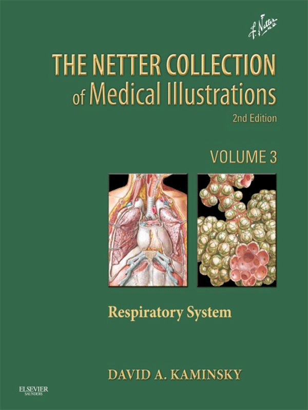 The Netter Collection of Medical Illustrations: Respiratory System