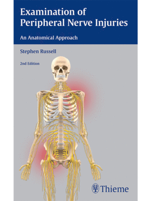 Examination of Peripheral Nerve Injuries: An Anatomical Approach
