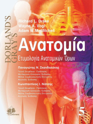 Gray's Ανατομία: Ετυμολογία Ανατομικών Όρων (Τόμος 5)