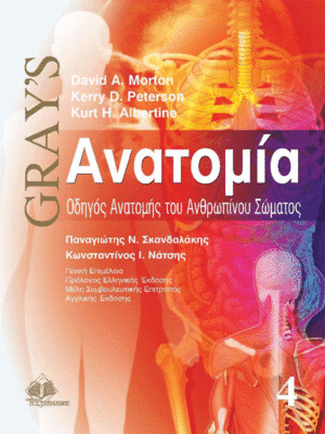 Gray's Ανατομία: Οδηγός Ανατομής του Ανθρώπινου Σώματος (Τόμος 4)