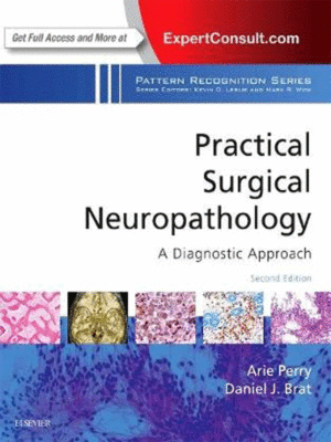 Practical Surgical Neuropathology