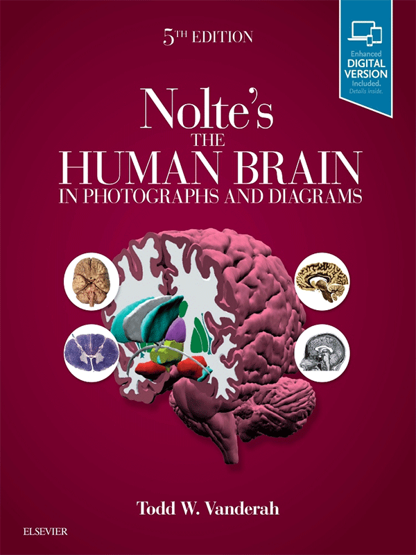 Nolte's The Human Brain in Photographs and Diagrams, 5th Edition