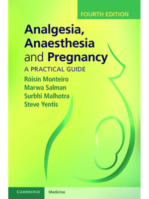 Analgesia, Anaesthesia and Pregnancy: A Practical Guide, 4th Edition