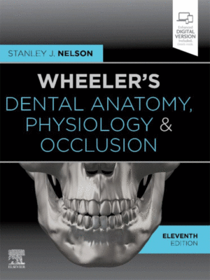 Wheeler's Dental Anatomy, Physiology and Occlusion, 11th Edition