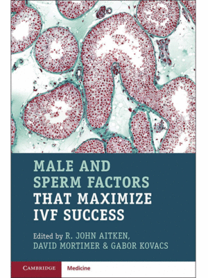 Male and Sperm Factors that Maximize IVF Success