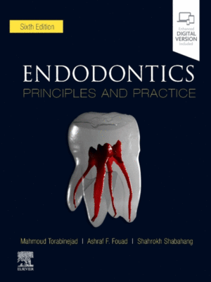 Endodontics: Principles and Practice, 6th Edition