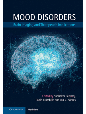 Mood Disorders: Brain Imaging and Therapeutic Implications