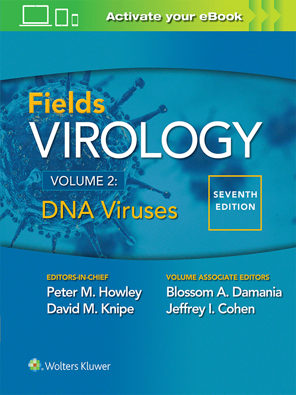 Fields Virology: DNA Viruses (Volume 2), 7th Edition
