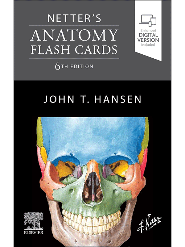 Netter's Anatomy Flash Cards, 6th Edition