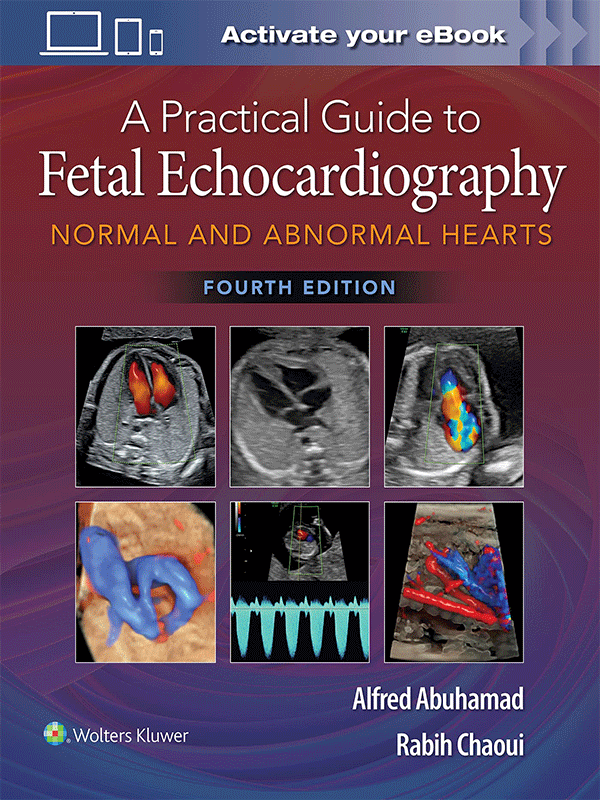 A Practical Guide to Fetal Echocardiography: Normal and Abnormal Hearts, 4th Edition