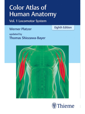 Color Atlas of Human Anatomy: Locomotor System, 8th Edition (Volume 1)