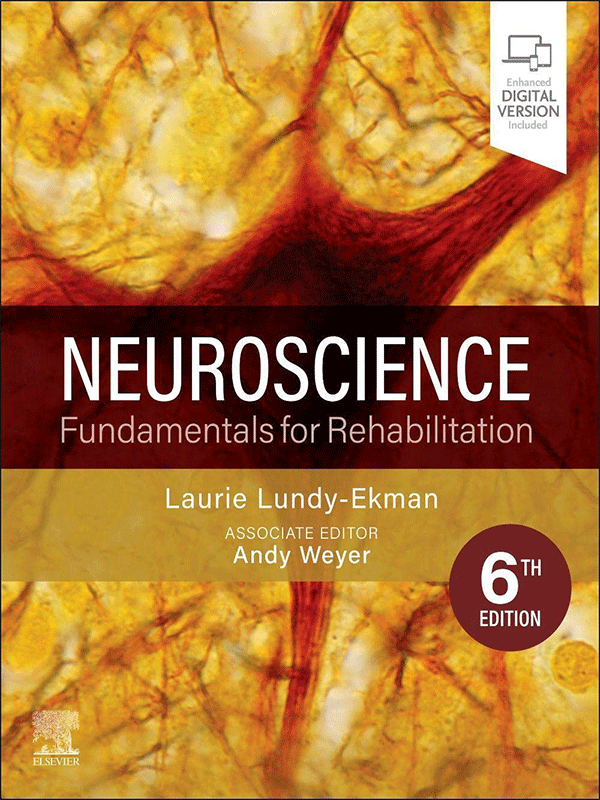 Neuroscience: Fundamentals for Rehabilitation, 6th Edition