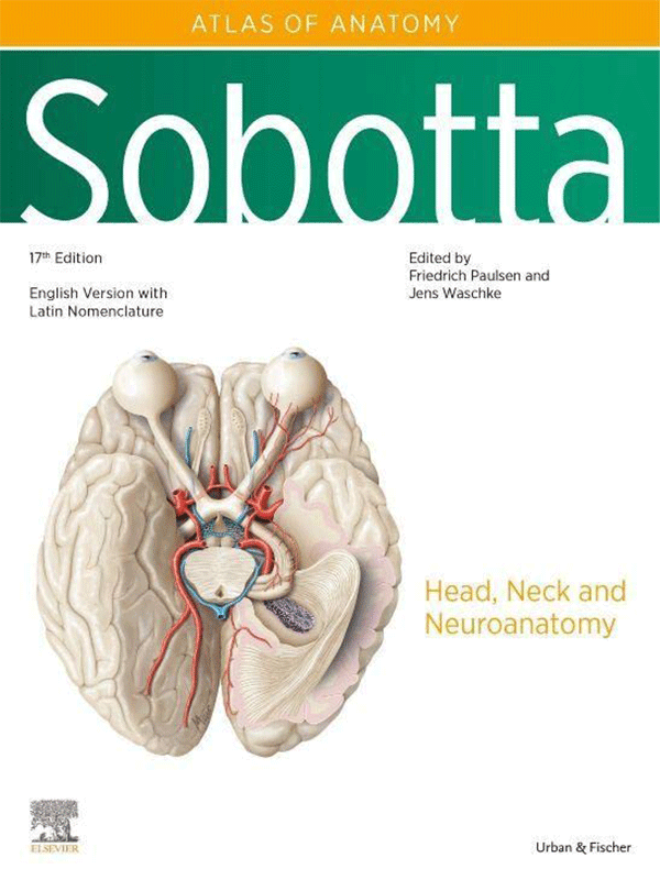 健康・医学 Sobotta Malbuch Anatomie Sobotta Malbuch Anatomie - 9783437412646