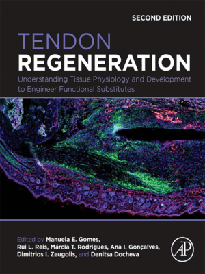 Tendon Regeneration: Understanding Tissue Physiology and Development to Engineer Functional Substitutes, 2nd Edition