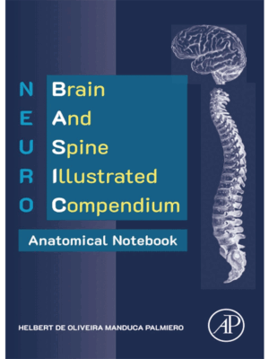 NEURO BASIC: Brain and Spine Illustrated Compendium – Anatomical Notebook